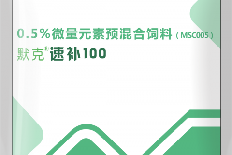 速补100