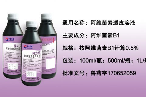 阿维菌素透皮溶液
