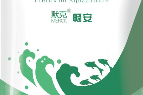 默克 畅安