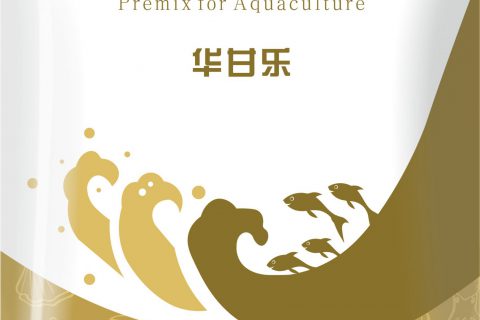 华甘乐
